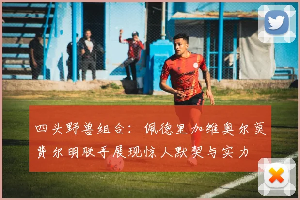 四头野兽组合：佩德里加维奥尔莫费尔明联手展现惊人默契与实力