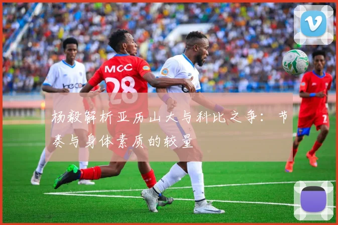 杨毅解析亚历山大与科比之争：节奏与身体素质的较量